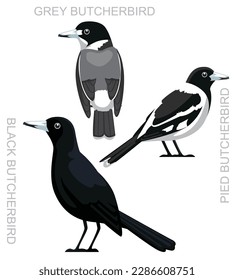 Cute Bird Australian Black Butcherbird Set Cartoon Vector