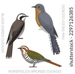 Cute Bird Australian Cuckoo Set Cartoon Vector
