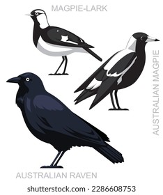 Cute Bird Australian Magpie Raven Lark Set Cartoon Vector