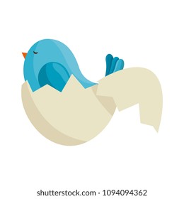 cute bird baby breaking the shell character
