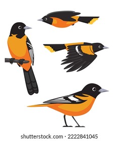 Cute Bird Baltimore Oriole Cartoon Vektor