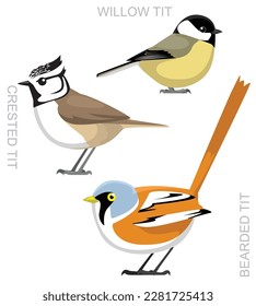 Cute Bird Bearded Reedling Crested Tit Willow Tit Set Cartoon Vector
