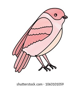cute bird with beautiful plumage