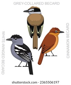Cute Bird Becard Set Cartoon Vector
