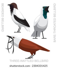 Cute Bird Bellbird Set Cartoon Vector