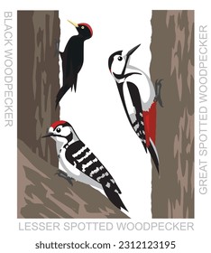 Cute Bird Black Spotted Woodpecker Set Cartoon Vector