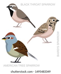 Cute Bird Black Throat Sparrow Set Cartoon Vector