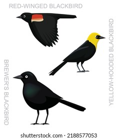 Cute Bird Blackbird Set Cartoon Vector