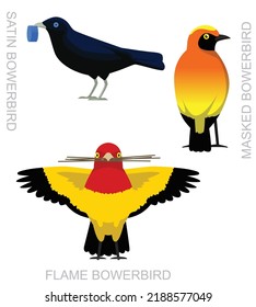 Cute Bird Bowerbird Set Cartoon Vector