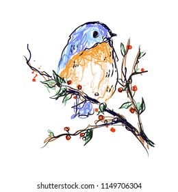 Cute  Bird in branch , pointing colored bird, vector illustration, isolated on white background