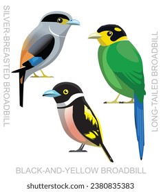 Cute Bird Broadbill Set Cartoon Vector