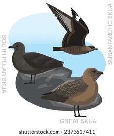 Cute Bird Brown Skua Set Cartoon Vector