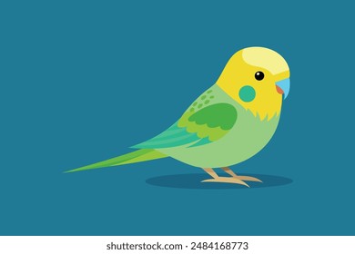 Cute bird budgerigar vector image illustration 