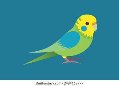 Nette Vogel Wellensittich Vektorgrafik Bild Illustration 