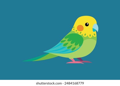 Cute bird budgerigar vector image illustration 