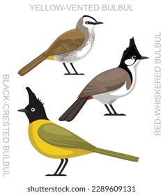 Cute Bird Bulbul Set Cartoon Vector

