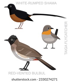 Cute Bird Bulbul Shama Flycatcher Set Cartoon Vector

