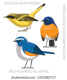 Cute Bird Bush-Robin Bluetail Set Cartoon Vector