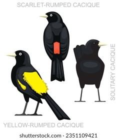 Cute Bird Cacique Set Cartoon Vector
