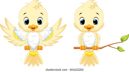 Cute bird cartoon