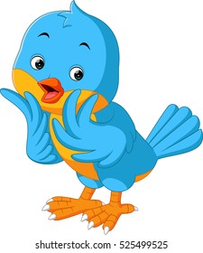Cute bird cartoon