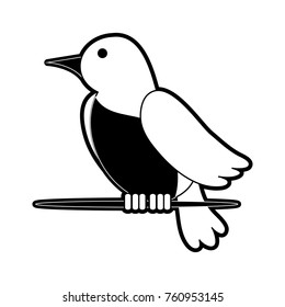 Cute bird cartoon