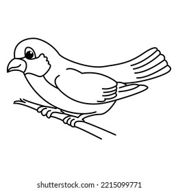 Cute bird cartoon characters vector illustration. For kids coloring book.