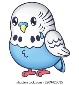 Cute Bird Cartoon Colored Drawing