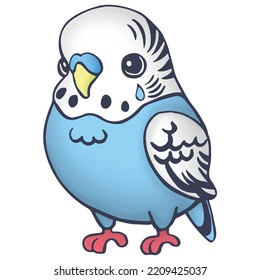 Cute Bird Cartoon Colored Drawing