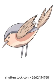 Cute bird in cartoon style. Vector illustration. Hand drawn lovely bunny.  Nursery characters for Easter cards, baby shower, greeting cards,patterns, posters, prints, book illustrations