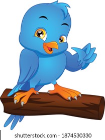 cute bird cartoon thumbs up