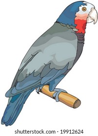 Cute Bird Character - isolated on white background : vector illustration