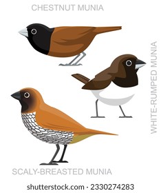 Cute Bird Chestnut Munia Set Vector de dibujos animados
