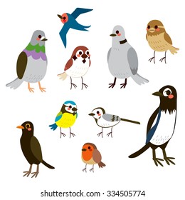 Cute bird collection set with flat color style