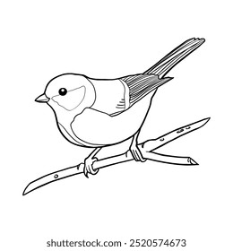 Cute Bird Coloring Page, Kids Coloring Book, Birds Character Vector Illustration