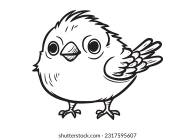 Cute Bird Coloring Pages, Kids Coloring Book, Birds Character Vector Illustration