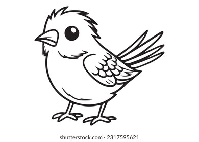 Cute Bird Coloring Pages, Kids Coloring Book, Birds Character Vector Illustration