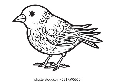 Cute Bird Coloring Pages, Kids Coloring Book, Birds Character Vector Illustration