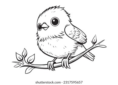 Cute Bird Coloring Pages, Kids Coloring Book, Birds Character Vector Illustration