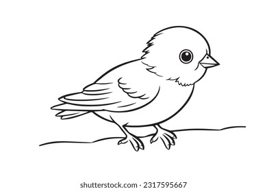 Cute Bird Coloring Pages, Kids Coloring Book, Birds Character Vector Illustration