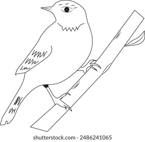 Cute Bird Coloring Pages, Kids Coloring Book, Birds Character line art Vector Illustration.