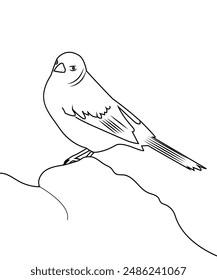 Cute Bird Coloring Pages, Kids Coloring Book, Birds Character line art Vector Illustration.