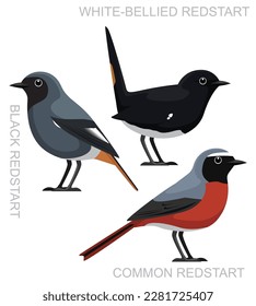 Cute Bird Common Redstart Set Cartoon Vector
