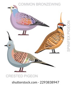 Cute Bird Crested Pigeon Bronzewing Set Cartoon Vector