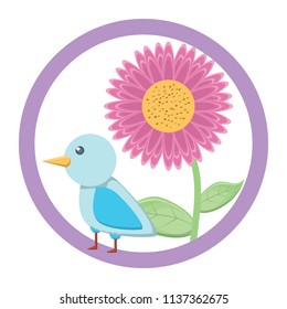 cute bird design