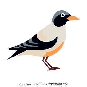 Cute bird design over white