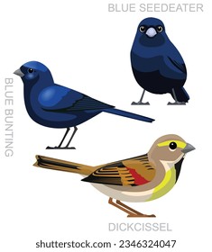 Cute Bird Dickcissell Bunting Seedeater Set Cartoon Vector
