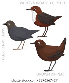 Cute Bird Dipper Set Cartoon Vector
