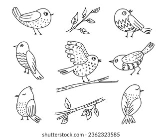 Cute bird doodle vector set