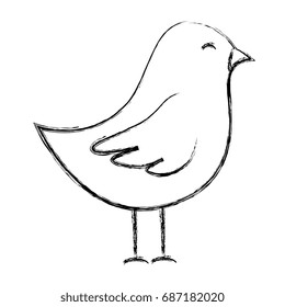 cute bird drawing icon